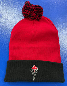 TORCH Toques